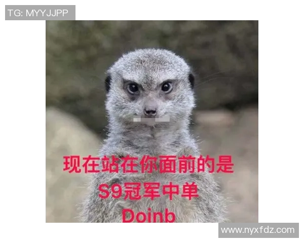 王者荣耀评论：FPX的中路突破得失